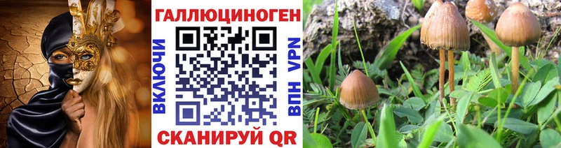 Псилоцибиновые грибы Psilocybine cubensis  Купить где  Верхняя Пышма 