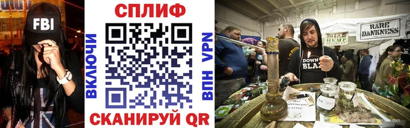 Купить Верхняя Пышма Канабис сатива